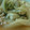 TomomiI's cooksnap of when they made 豆腐と白菜のオイスターソース炒め.