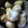 enrique's cooksnap of when they made 里芋の煮っ転がし.