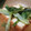 kotaro子's cooksnap of when they made 厚揚げと小松菜の煮びたし.