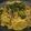 ３２６ちゅる's cooksnap of when they made 水煮山菜で和風スパゲッティ♪.
