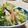 yappyパクパク's cooksnap of when they made 白菜と塩麹の浅漬け.