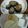 百來mam's cooksnap of when they made 簡単＆早い　レンジで田楽みそ.