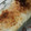 kimimaruo's cooksnap of when they made たらとほうれんそうのグラタン.
