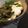 junyoujun's cooksnap of when they made ✽はんぺんｄｅあったか♪きしめん✽.