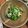 まめりんこ's cooksnap of when they made ありあわせde小鉢♡春菊の柚子胡椒ポン酢.