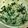 あきれいくん's cooksnap of when they made もやしとわかめのナムル.