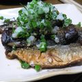 うめとろ's cooksnap of when they made さんまのサッパリおろしぽん酢.