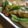 チューちゃん's cooksnap of when they made カブとベーコンのオリーブオイル焼き.