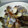 maruru-nn's cooksnap of when they made 【アサリの白ワイン蒸】.