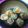 pupil6451's cooksnap of when they made 生姜パワー！！体ぽかぽか★生姜の肉巻き★.