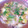 ☆☆moka☆☆'s cooksnap of when they made 牡蠣と白菜のあんかけ！.