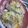 こずっぺ's cooksnap of when they made 時短！じゃがいもホワイトソースグラタン.