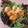 nao94's cooksnap of when they made えびマヨですょ.