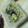 かぷち＠花嫁's cooksnap of when they made 簡単さつまいも☆ごはん.