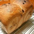 こめ☆まま's cooksnap of when they made 天然酵母で♪チョコたっぷりパン.