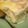 ゴメ子's cooksnap of when they made 南国スイーツ　マンゴーフロート.
