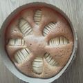 うーさむ's cooksnap of when they made ワンボール☆まるごとりんごのケーキ.