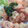母ぶーぶー's cooksnap of when they made ぷりぷりエビマヨ.