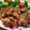 プミッキィ☆'s cooksnap of when they made 我が家の◎鶏の唐揚げ◎.