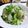 さらだaaa's cooksnap of when they made カブの洋風サラダ♪.
