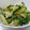 モンプチっち's cooksnap of when they made 柚子胡椒おひたし.