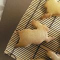 aja-co's cooksnap of when they made ★サクサクで香ばしい★きなこクッキー★.