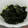 ななこ２２'s cooksnap of when they made ☆ワカメと鰹節☆ご飯のおともに♪.