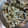 ぴなちゃんまま's cooksnap of when they made ひじきと切り干し大根の炊き込みご飯.