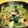 チャオ美's cooksnap of when they made ウインナーとセロリのカレー醤油炒め.