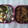 chipooh's cooksnap of when they made 簡単残りひじきの煮物で白和え♪.