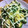 青薔薇蝶's cooksnap of when they made とろとろ卵のいんげん炒め♥.