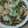 アメショのリョウちん's cooksnap of when they made しろなとしめじのサッと煮.