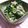 りーかる's cooksnap of when they made 小松菜とえのきの海苔和え.