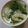快くん's cooksnap of when they made ＊＊とろり～ん♡かぶらスープ＊＊.