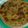 レディ・ガガ's cooksnap of when they made キャラメルバナナタルト.