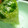 さらだaaa's cooksnap of when they made 餃子　野菜の簡単水切り.