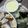ねこりん222's cooksnap of when they made ねぎの塩ナムル.