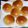 rieirs's cooksnap of when they made 簡単♪こねずに焼きたてパン.
