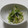 EGUDON's cooksnap of when they made ~豆苗ともやしの簡単和え~.
