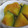 umemodoki's cooksnap of when they made 定番のかぼちゃの煮物.
