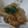 わさびアボカド's cooksnap of when they made 蓮根と牛蒡の甘辛煮.