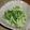 Chieちゃん's cooksnap of when they made 簡単★水菜サラダ.