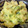 みぽまま＊'s cooksnap of when they made マヨネーズ無しで　かぼちゃサラダ。.