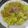 休憩中♪'s cooksnap of when they made 簡単！春キャベツとシーチキンの和風パスタ.