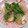 あっこ姉's cooksnap of when they made かぶと豚肉と菜の花のほろ苦煮込み.