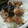 徹嫁っち's cooksnap of when they made 〜＊うちの豚丼、甘めです＊〜.