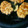 ドリームファイヤー's cooksnap of when they made れんこんの蒲焼風★ダイエット！.