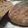 みそじーさん's cooksnap of when they made ココアフランスパン.