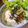 HinodeCafe's cooksnap of when they made 圧力鍋の簡単焼豚.