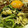 さぁ★たぁ★'s cooksnap of when they made 豆もやしとほうれん草の簡単ナムル♪.
